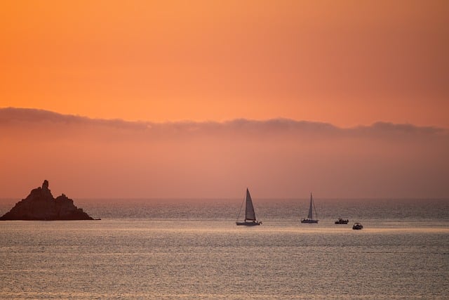 极连云机场 2025 测评,全IPLC 专线,¥15.5/月,100G 流量